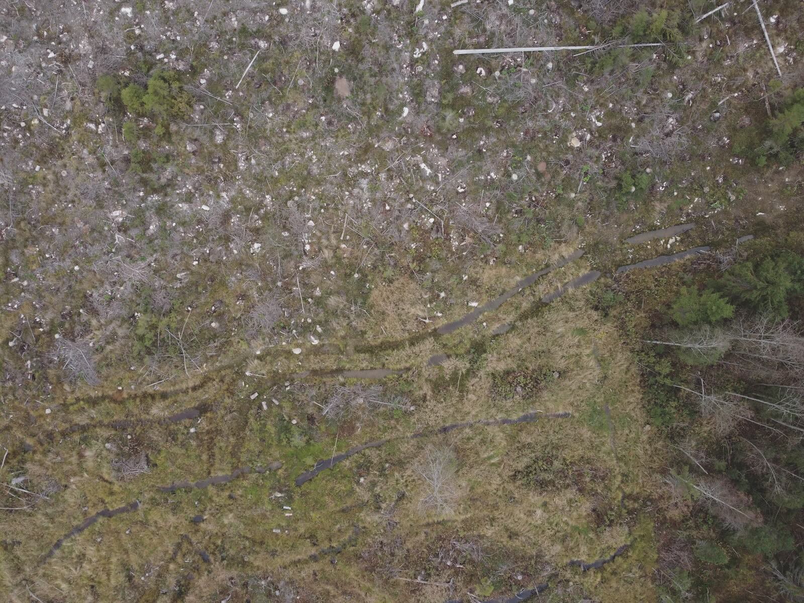 Ilmakuva paljaaksi hakatusta metsäaukiosta Nurmeksen Louhelassa. Maassa näkyy metsäkoneen uria, kantoja ja kaadettu puun runko.