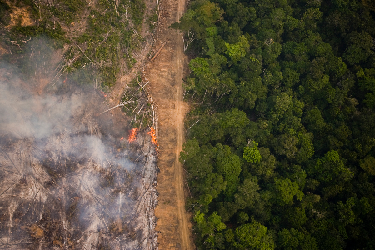 Amazon Rainforest in Burning Season. © Greenpeace / Daniel Beltrá