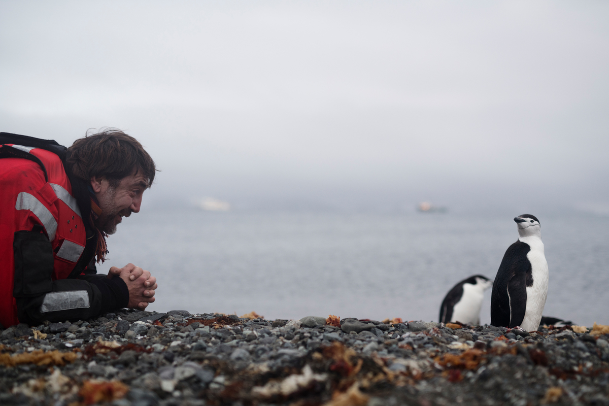Javier Bardem and Chinstrap Penguin in the Antarctic. © Christian Åslund / Greenpeace Javier Bardem and Chinstrap Penguin in the Antarctic. © Christian Åslund / Greenpeace