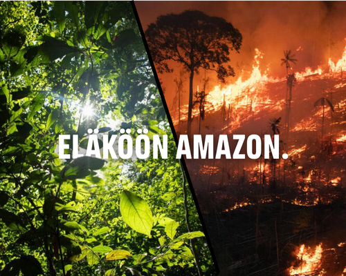 Eläköön Amazon.