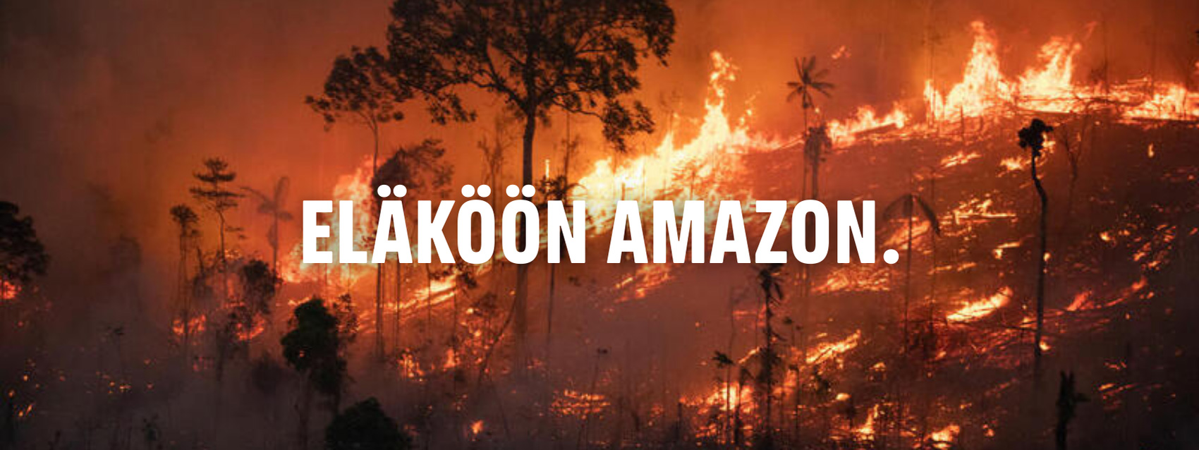 Sademetsä ilmiliekeissä tuhon jäljiltä.