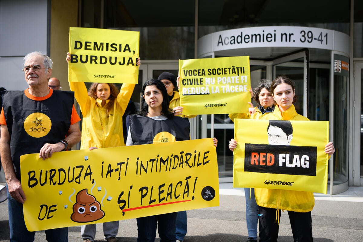 Romanian valtion kaasuyhtiö perääntyi vaatimuksesta sulkea Greenpeace Romaniassa