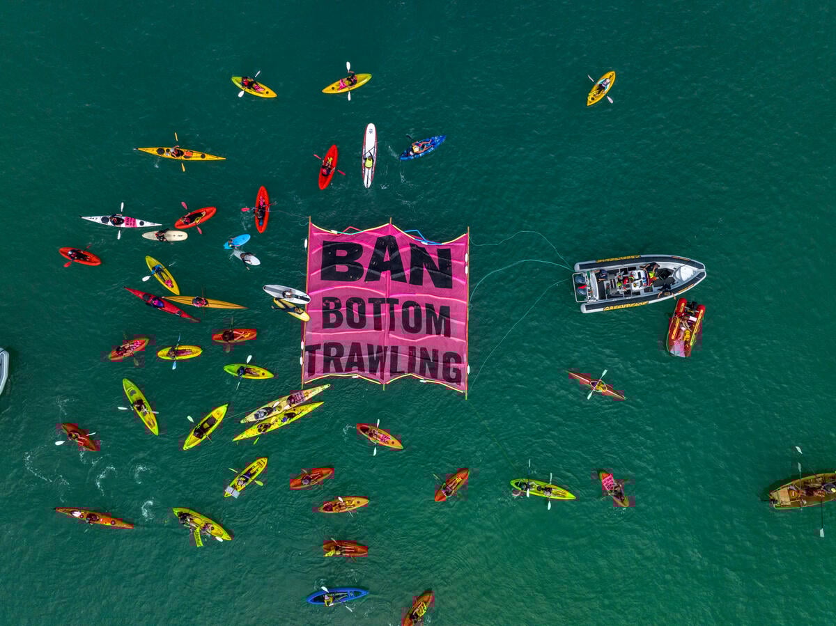 Bottom Trawling Protest Flotilla in Mission Bay, Auckland. ©  Echo Valley / Greenpeace