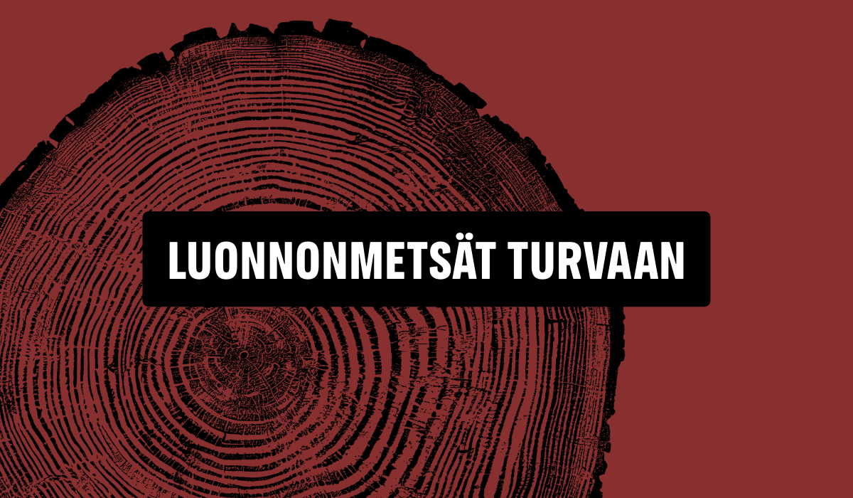 Pelastetaan 70 luonnonmetsää