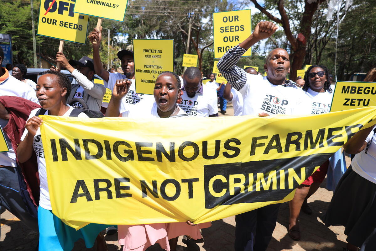Seed Litigation Hearing in Kenya. © Dennis Sang / Greenpeace