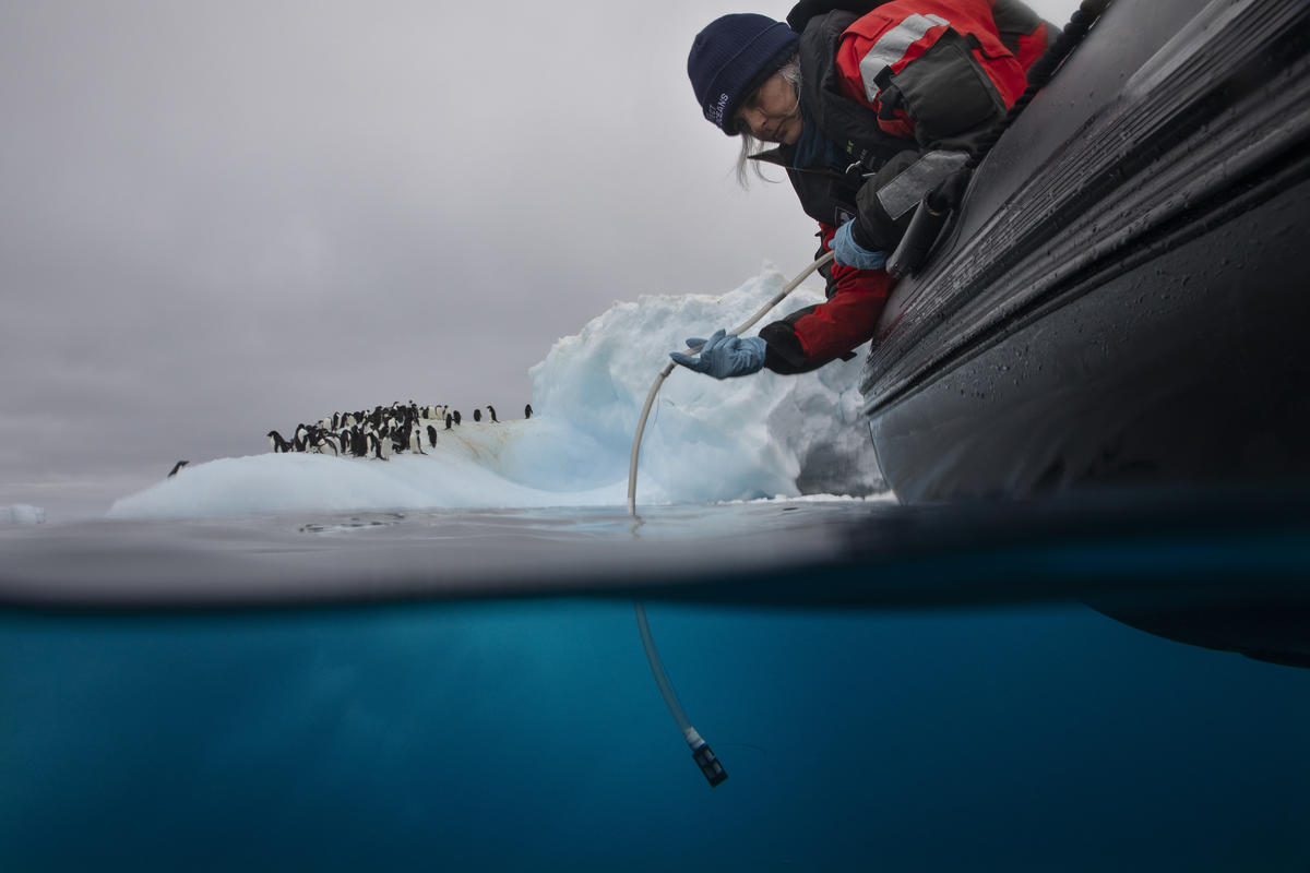 eDNA Sampling in Antarctica. © Abbie Trayler-Smith / Greenpeace eDNA Sampling in Antarctica. © Abbie Trayler-Smith / Greenpeace