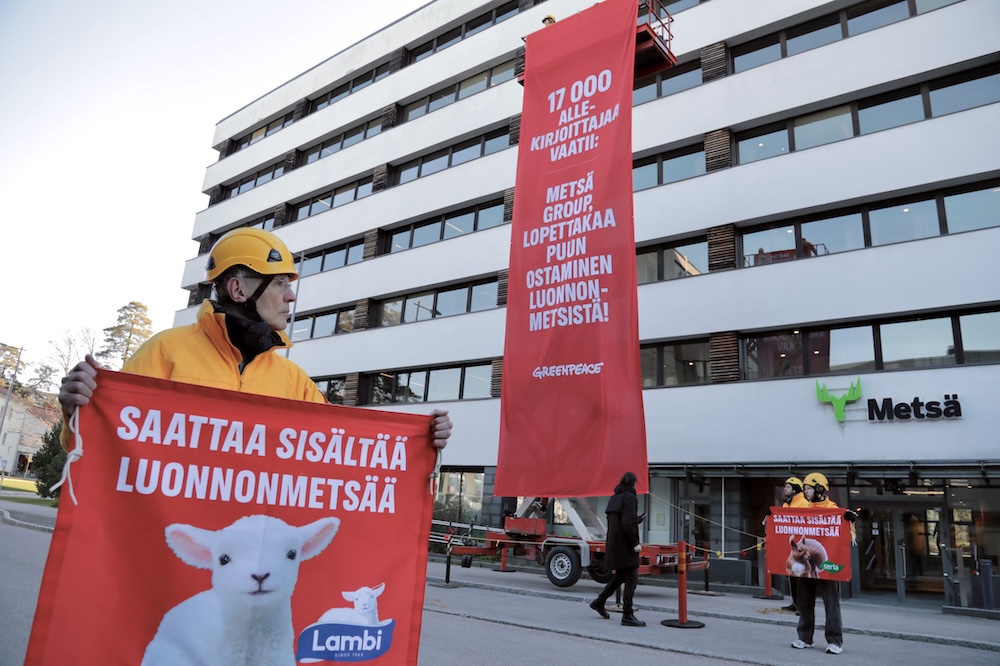 Aktivistit läväyttivät vetoomuksen 10 metrin korkeudesta: “Luonnonmetsät eivät sovi selluksi”