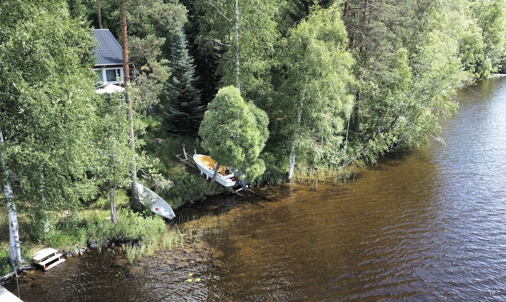 Miksi mökkijärvi tummuu ja liejuuntuu?
