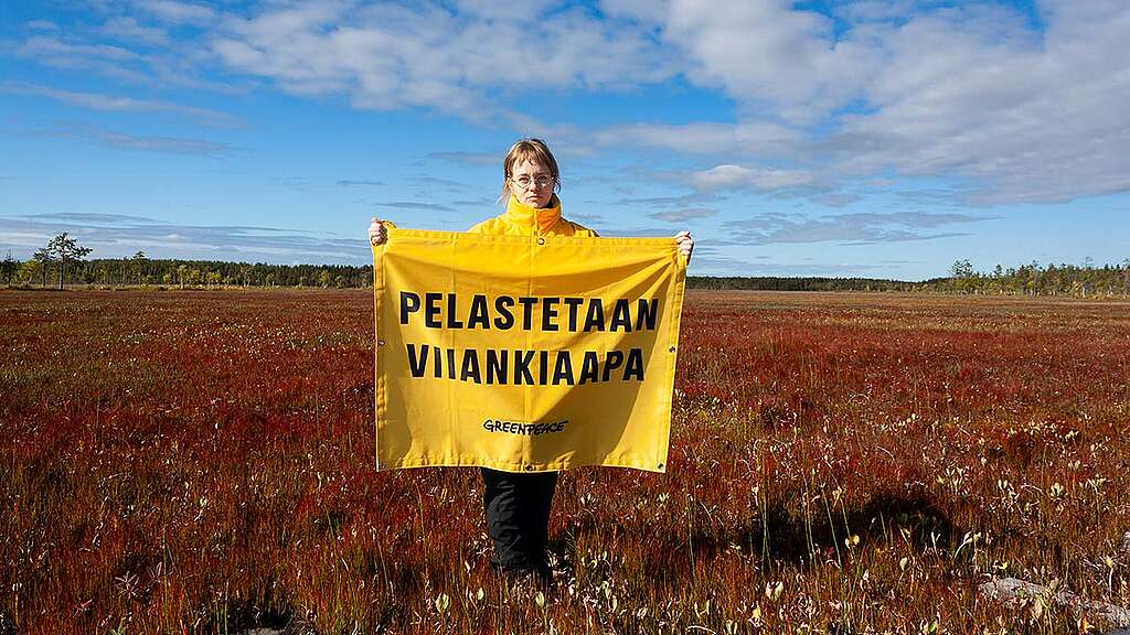 Toimi nyt: pelastetaan Viiankiaapa.