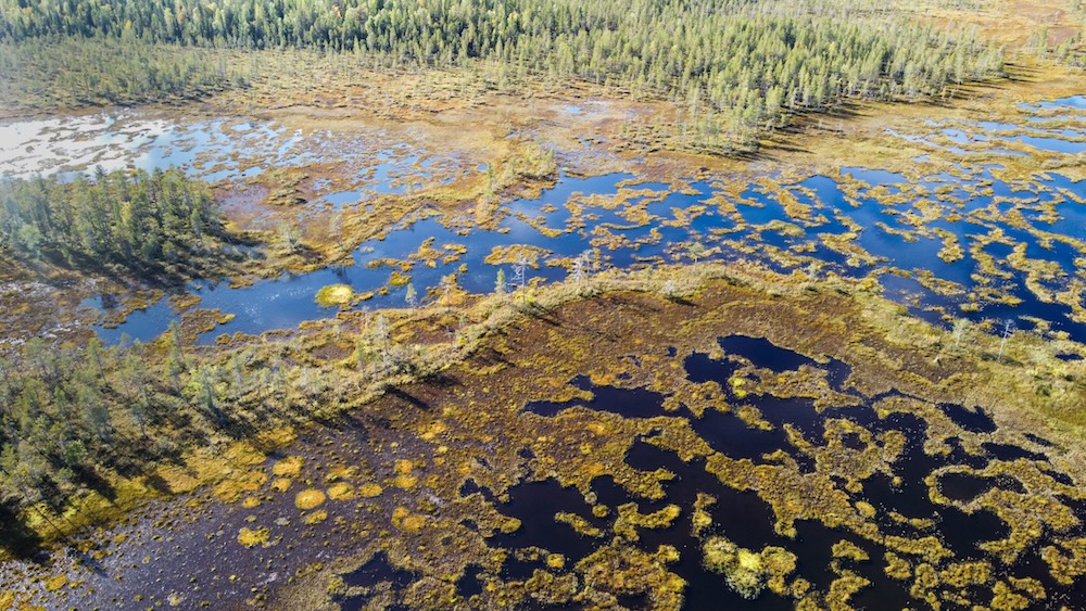 Viiankiaapaa ei voi korvata – Sakatti Miningin kompensaatiosuunnitelmille rukkasia viranomaisilta