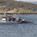 «Είμαστε χιλιάδες, αλλά δεν κοπαδιαζόμαστε…»