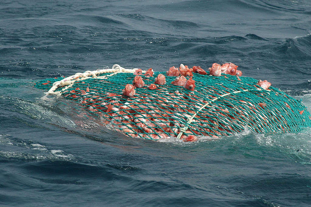 Eastern Princess II - Bottom Trawler Tour 2005. © Virginia Lee Hunter