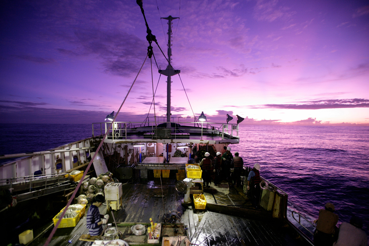 Fishing Documentation - Defending Our Oceans (Pacific: 2006). © Alex Hofford