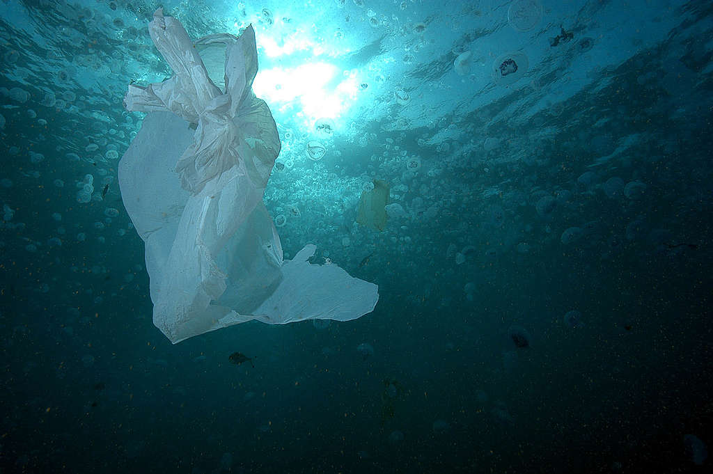 Plastic Bag in Water - Red Sea Coastal Development in Egypt - 2006. © Marco Care