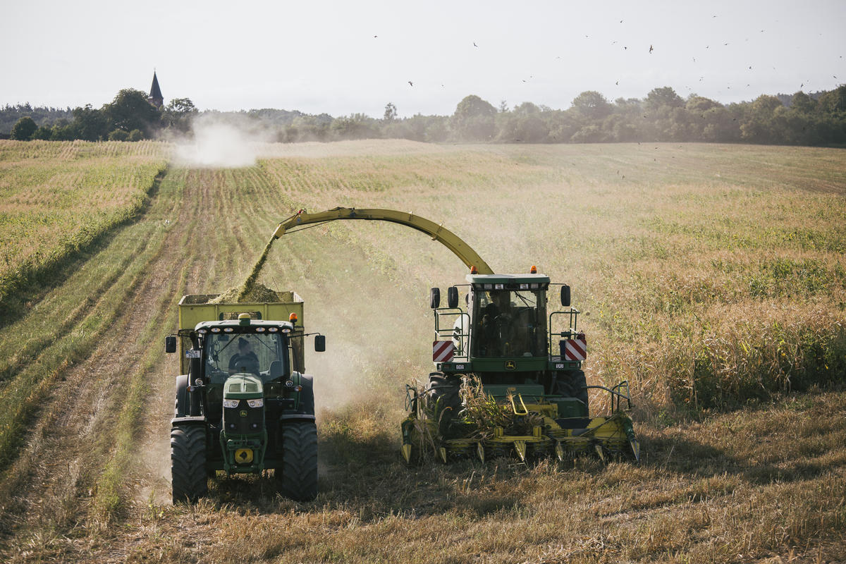 Ecological Farm in Germany. © Jonas Wresch / Greenpeace