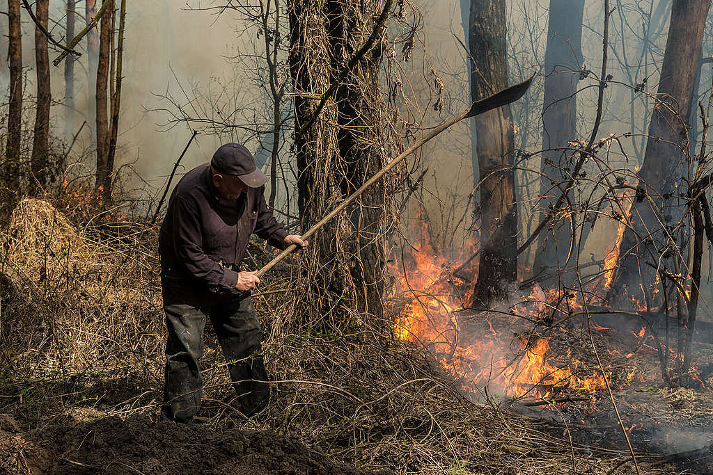 Forest Fire near Chernobyl. © Oksana Parafeniuk / Greenpeace Forest Fire near Chernobyl. © Oksana Parafeniuk / Greenpeace