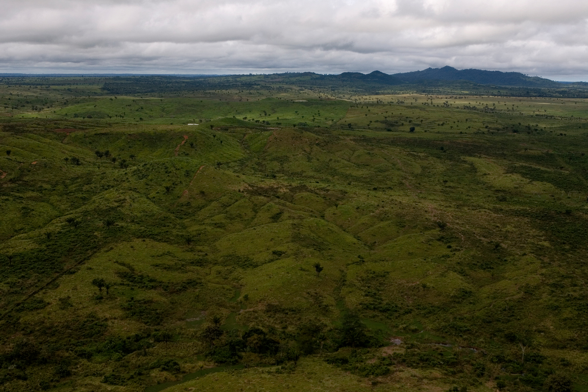 Deforestation for Cattle Ranching in Brazil. © Marizilda Cruppe / EVE / Greenpeace