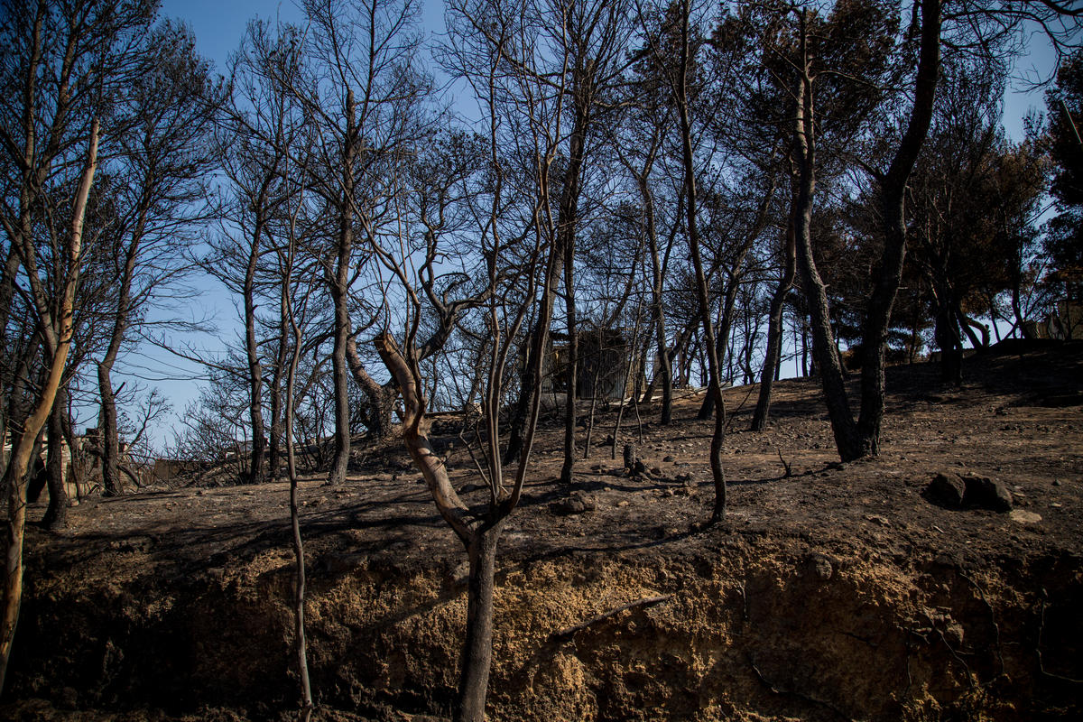 Extreme Heat and Fires in Attica, Greece. © Constantinos Stathias / Greenpeace