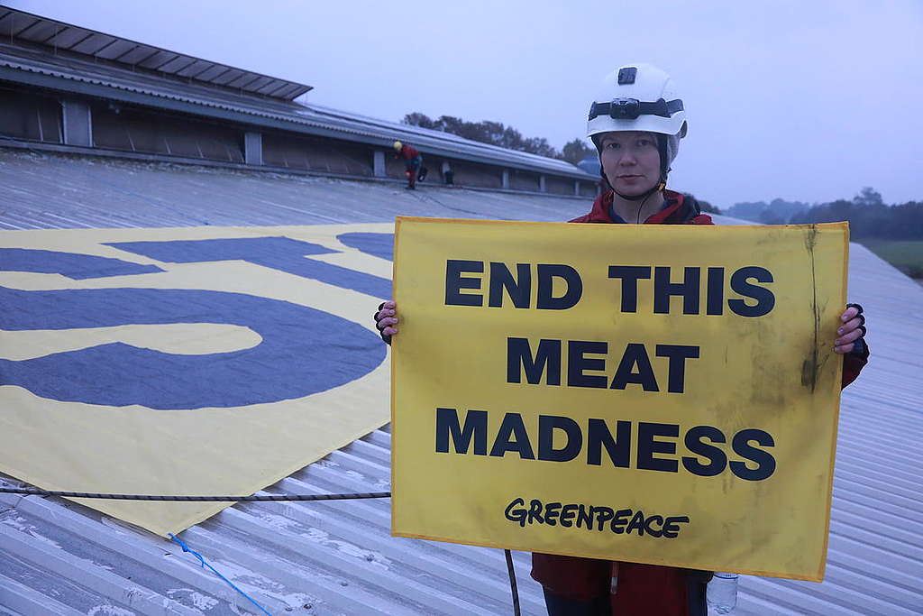 End this Meat Madness Protest in Denmark. © Kristian Buus / Greenpeace End this Meat Madness Protest in Denmark. © Kristian Buus / Greenpeace