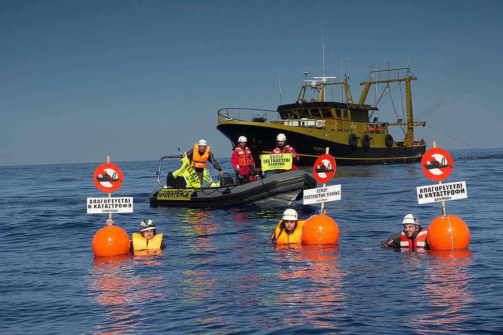 Aegean Sea Bottom Trawlers Action. © Greenpeace Aegean Sea Bottom Trawlers Action. © Greenpeace