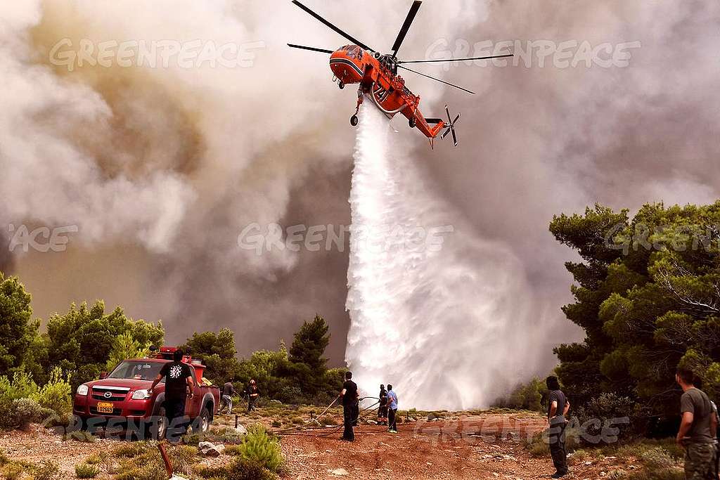 Wildfire near Athens in Greece. © VALERIE GACHE / AFP / Getty