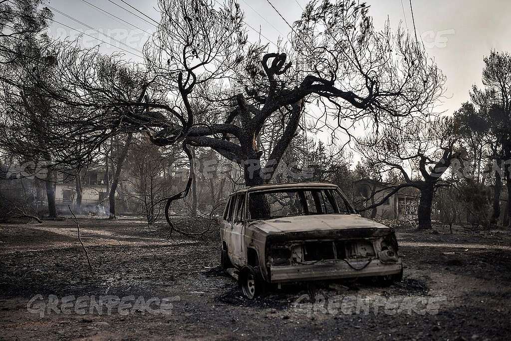 GREECE-FIRE. LOUISA GOULIAMAKI / Greenpeace