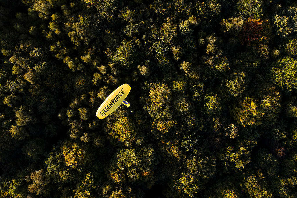 Protest with Paraglider at Dannenroeder Forest. © Greenpeace Protest with Paraglider at Dannenroeder Forest. © Greenpeace