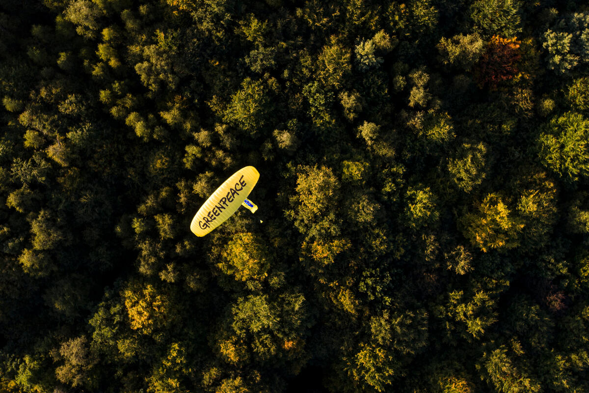 Protest with Paraglider at Dannenroeder Forest. © Greenpeace