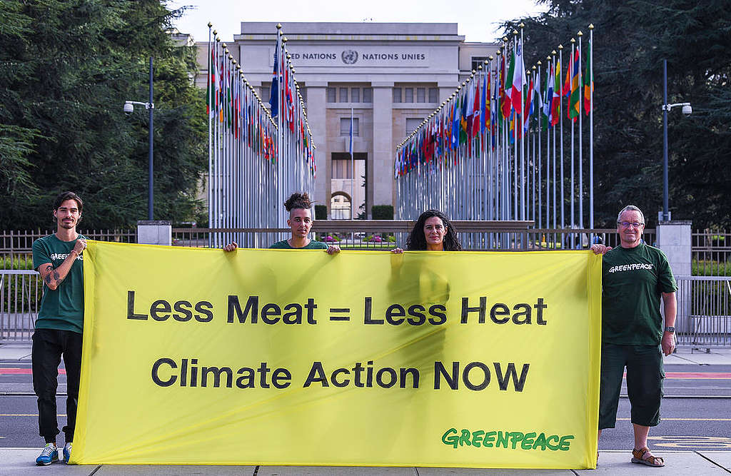 Action at IPCC Meeting in Geneva. © Greenpeace / Demir Sönmez Action at IPCC Meeting in Geneva. © Greenpeace / Demir Sönmez