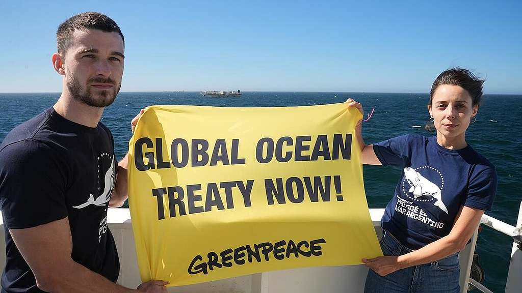 MY Arctic Sunrise during Argentine Sea Ship Tour. © Esteban Medina San Martin / Greenpeace