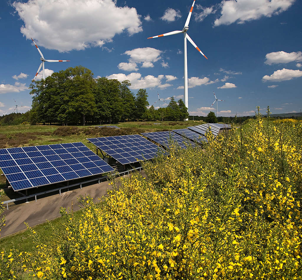 Renewable Energy Farm in Germany. © Paul Langrock / Zenit / Greenpeace