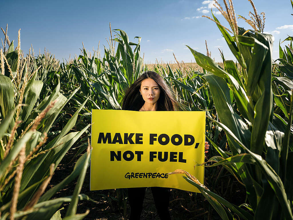 Make Food Not Fuel - Photo OP in Austria.