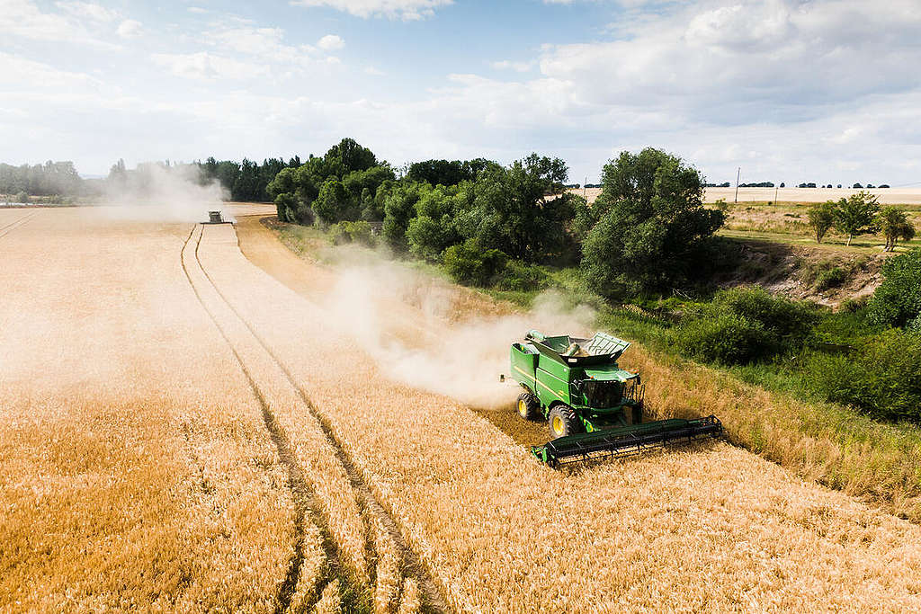 Large Grain Crops in Germany - Aerials. © Greenpeace Large Grain Crops in Germany - Aerials. © Greenpeace
