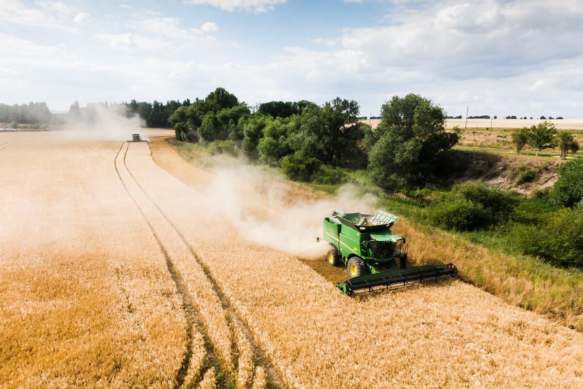 Large Grain Crops in Germany - Aerials. © Greenpeace