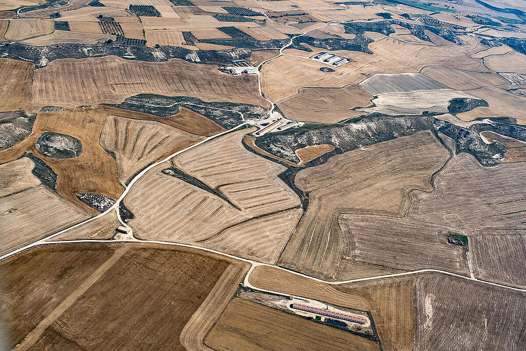 Dry Land in Spain. © Greenpeace / Pedro Armestre Dry Land in Spain. © Greenpeace / Pedro Armestre