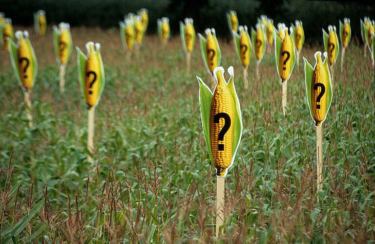 GE Protest against EU Seed Directive in Germany. © Martin Langer / Greenpeace