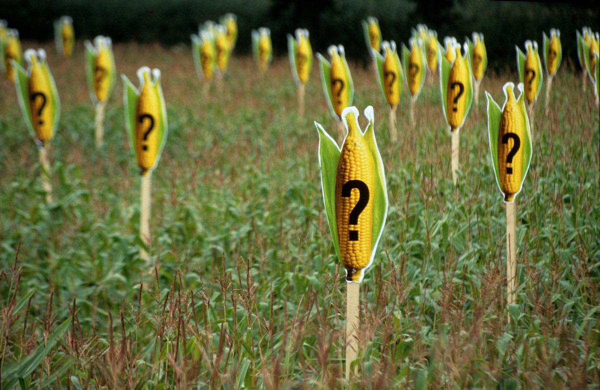 GE Protest against EU Seed Directive in Germany. © Martin Langer / Greenpeace