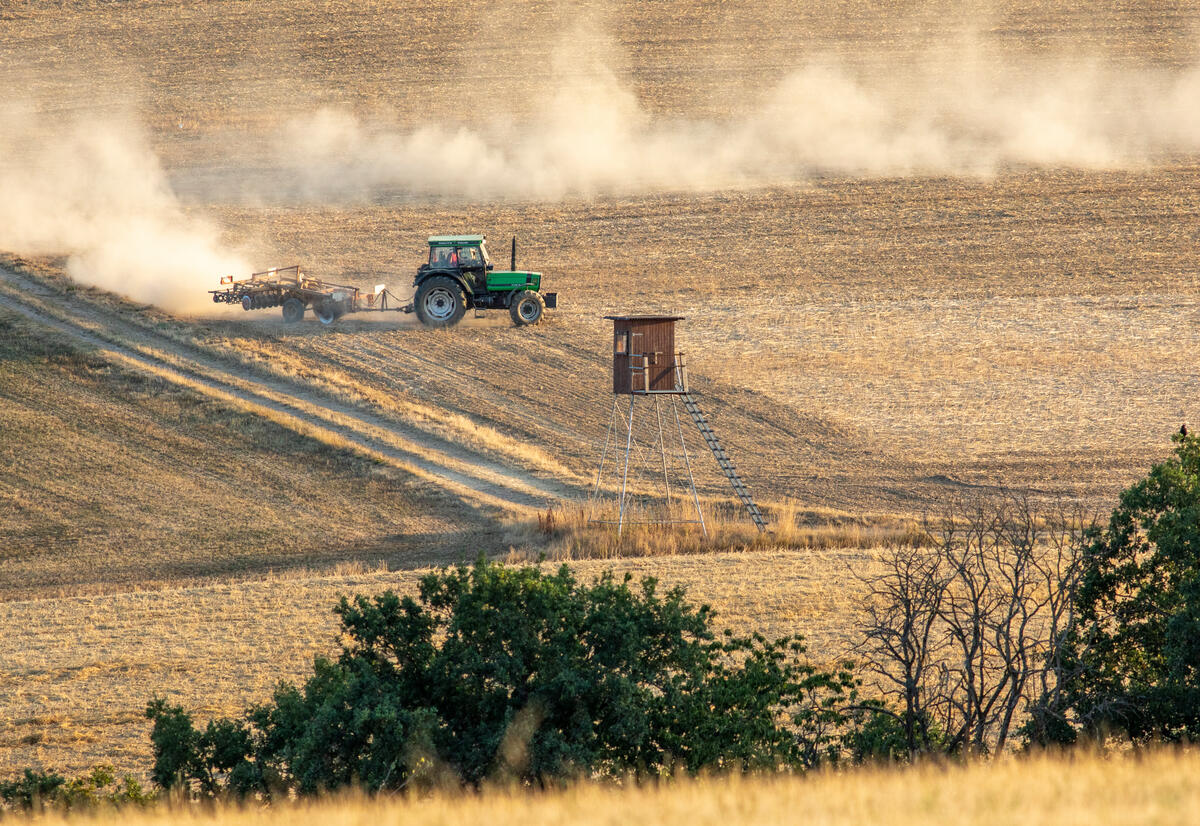 Farmer Ploughing Dry Field in Germany. © Paul Langrock / Greenpeace
