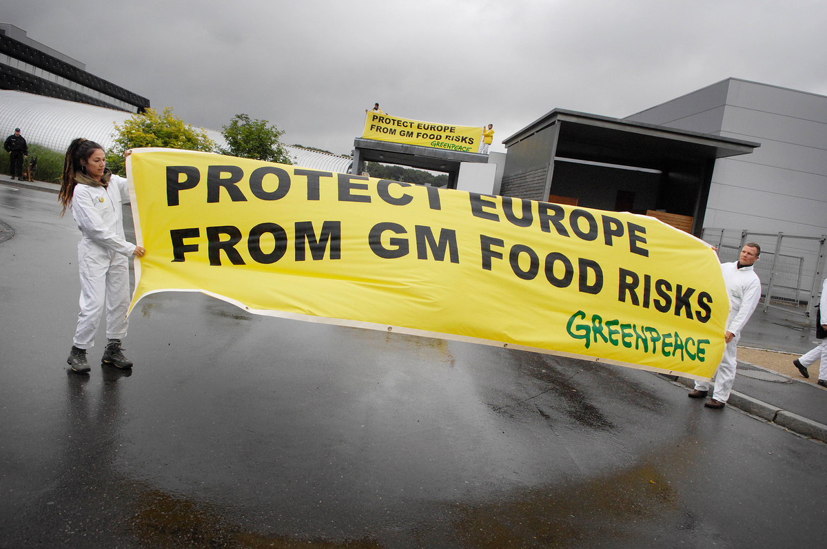 GE Action at Luxembourg Environment Council. © Greenpeace / Eric De Mildt