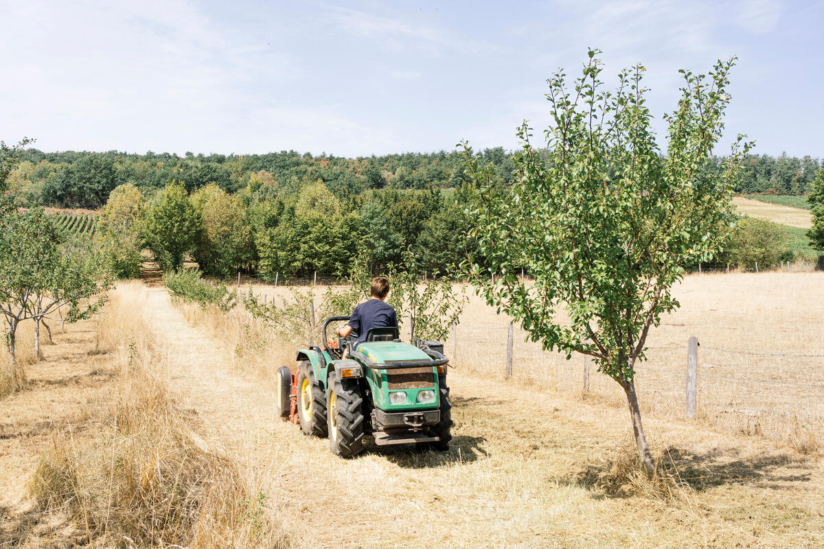 Heatwave and Drought in Burgundy. © Denis Meyer / Greenpeace Heatwave and Drought in Burgundy. © Denis Meyer / Greenpeace