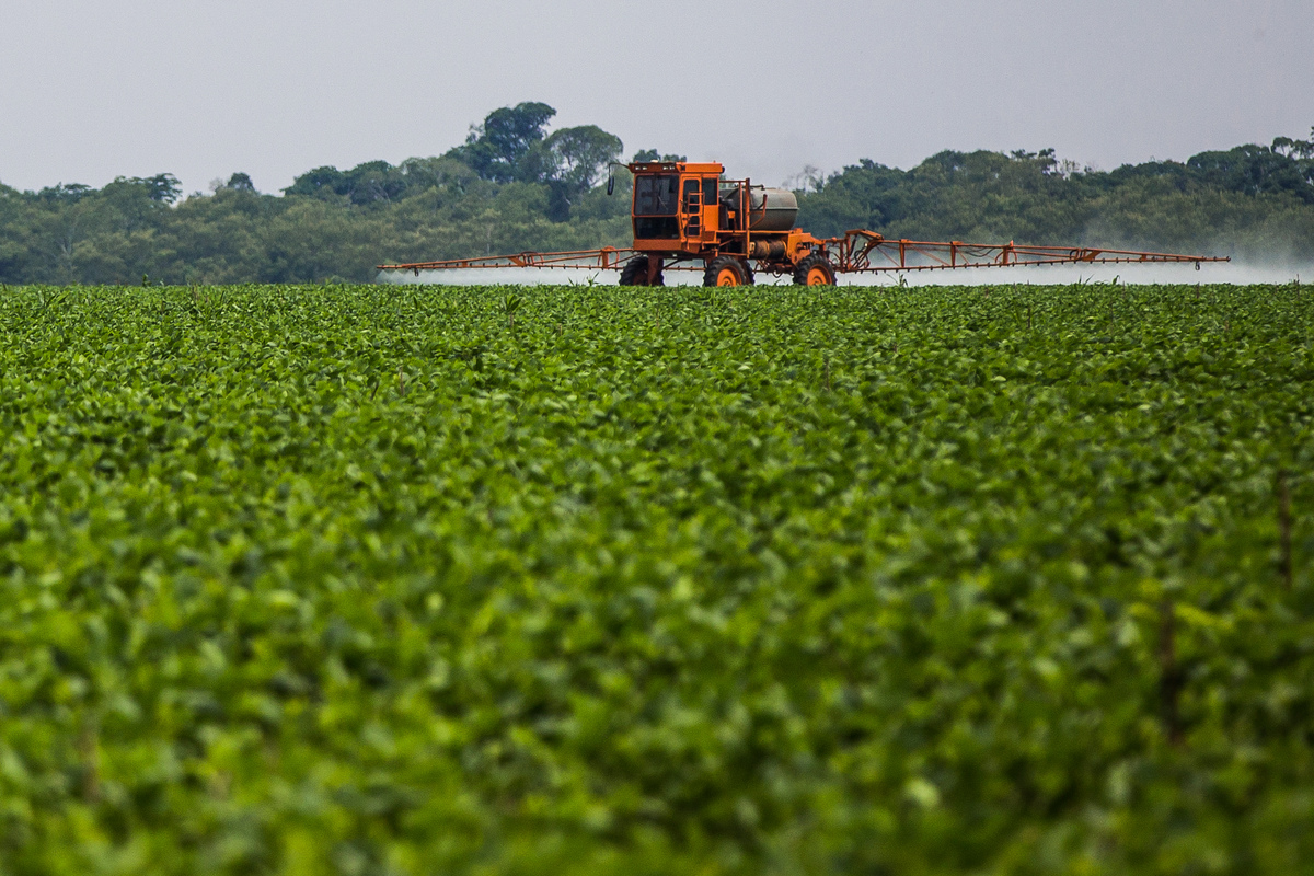 Soya Plantation in the Amazon. © Bruno Kelly / Greenpeace