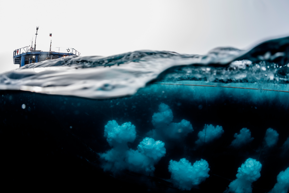 Seismic Blasting off North-East Greenland. © Christian Åslund / Greenpeace