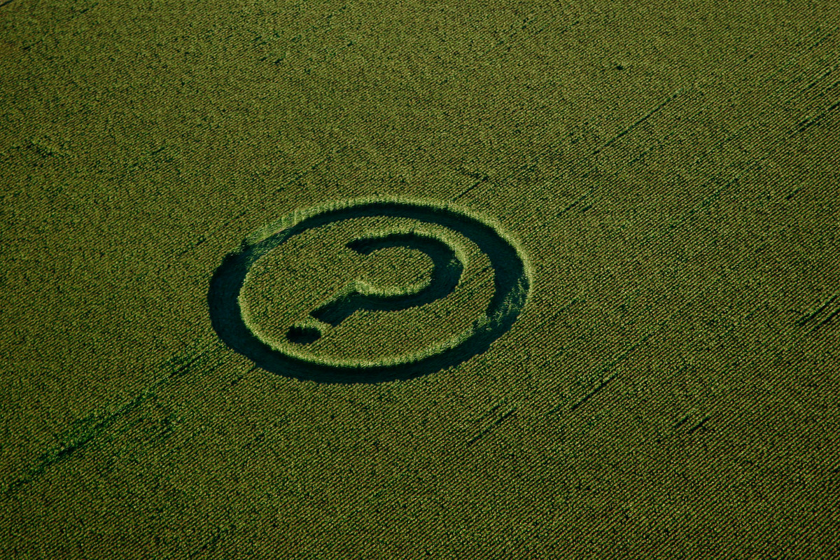 GE Crop Circle Action in Canada. © Greenpeace / Michael Desjardins
