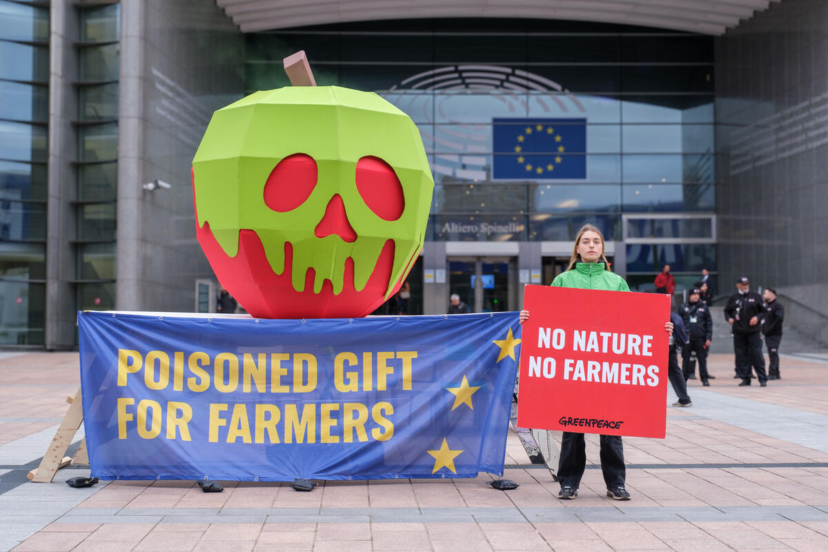 Action against Changes to the CAP in Brussels. © Camille Delbos / Greenpeace