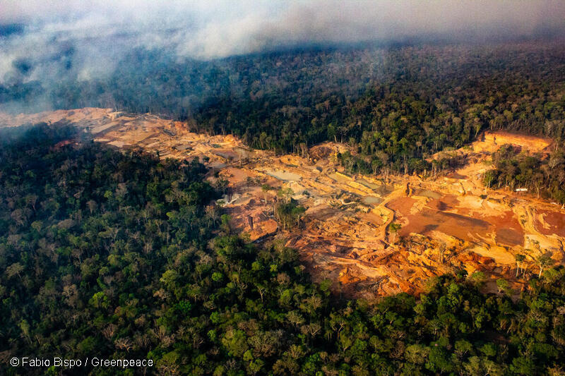 Τελευταία ευκαιρία για τον Αμαζόνιο;