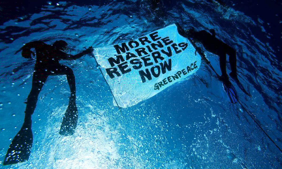 Θαλάσσιες Προστατευόμενες Περιοχές: Κατατμήσεις, γεωμετρία και… προστασία;