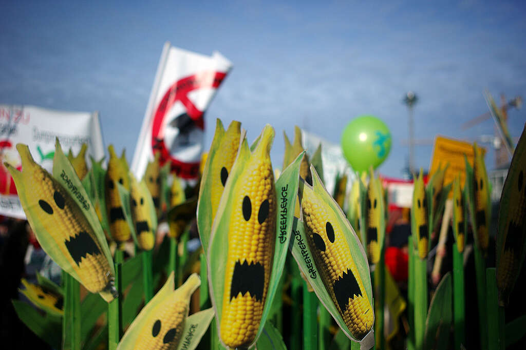 Demonstration "Wir haben es satt!" (We are fed up!) against industrial food production and genetic engineering in agriculture.