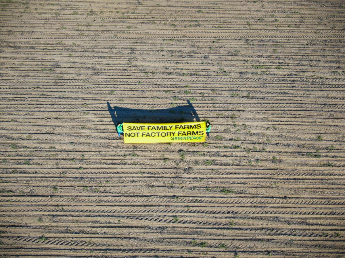 EU Must Scrap the CAP - Action in Slovakia. © Matej Hliničan / Greenpeace