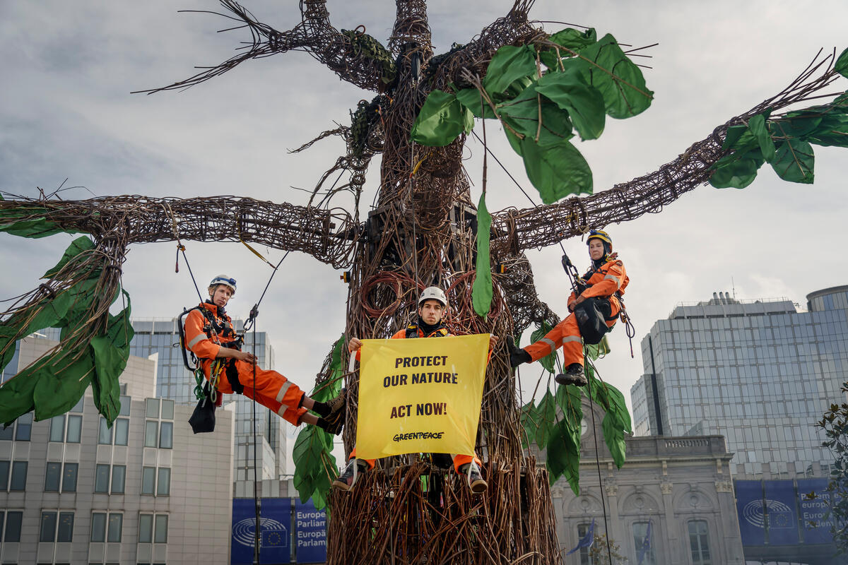 Η Ευρώπη δεν είναι προς πώληση: η απορρύθμιση των κανονισμών της ΕΕ δεν είναι “ανταγωνιστικότητα”
