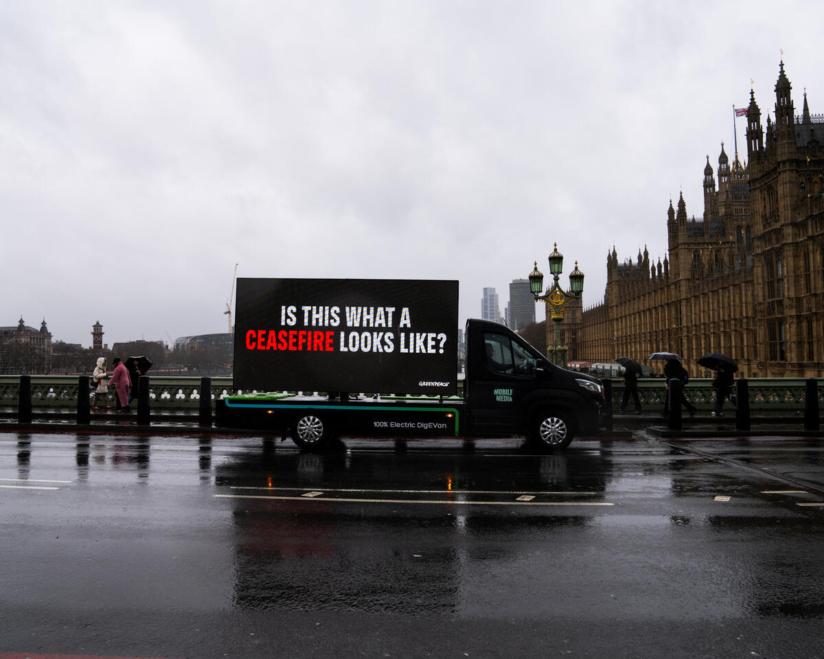Η Greenpeace συμμετέχει στην αποστολή Global Sumud Flotilla προς τη Γάζα